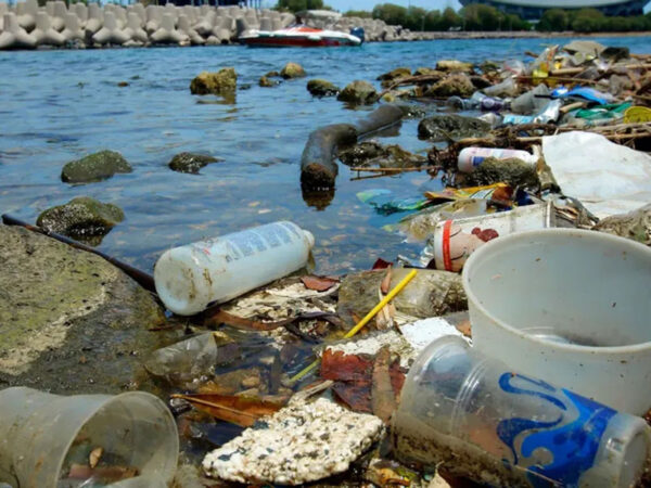 Top Refill Shop - How Plastic Waste is Damaging Our World
